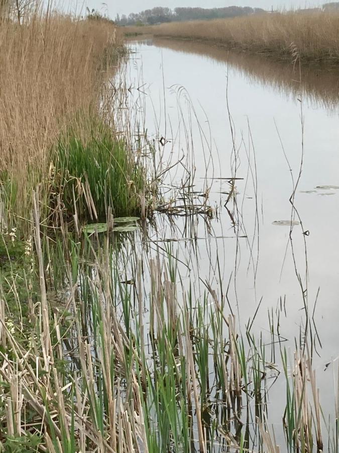 Vakantiehuis 'T Laaisterplakky Zonder Drempels Oude Bildtzijl Exteriör bild