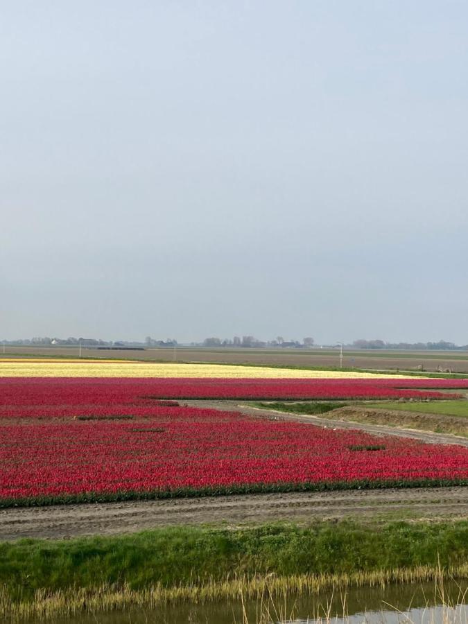 Vakantiehuis 'T Laaisterplakky Zonder Drempels Oude Bildtzijl Exteriör bild