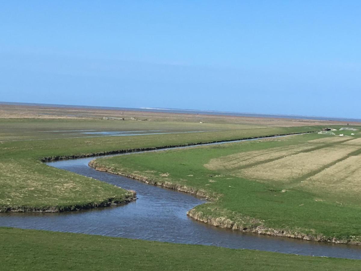 Vakantiehuis 'T Laaisterplakky Zonder Drempels Oude Bildtzijl Exteriör bild