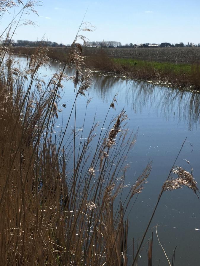 Vakantiehuis 'T Laaisterplakky Zonder Drempels Oude Bildtzijl Exteriör bild